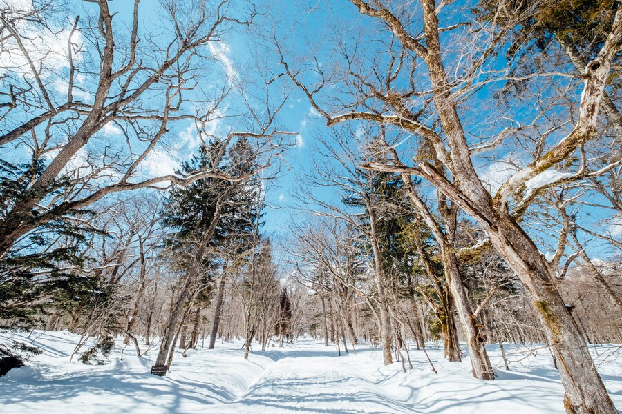 7 Lugares Deslumbrantes Cobertos de Neve aspen eua